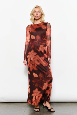 Floral Print Mesh Maxi Dress